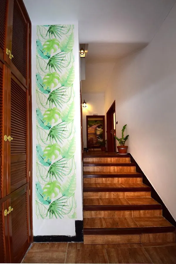 B&B Casa Armonia Santa Cruz de Tenerife Spanje